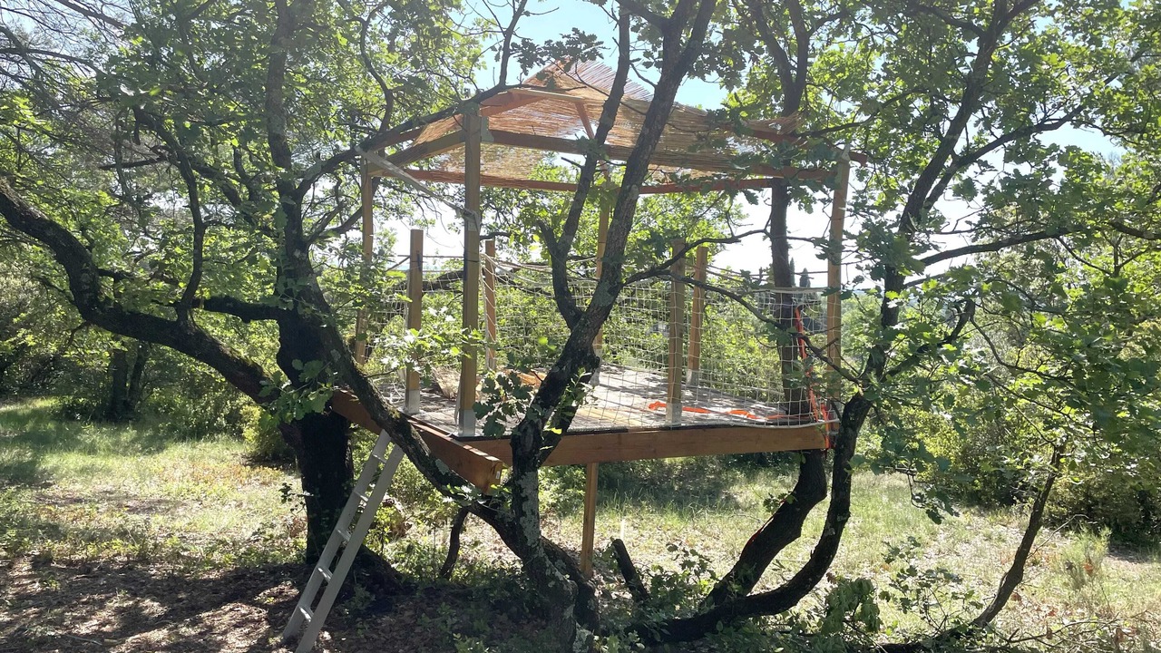 Photo of Outdoor in Velleron