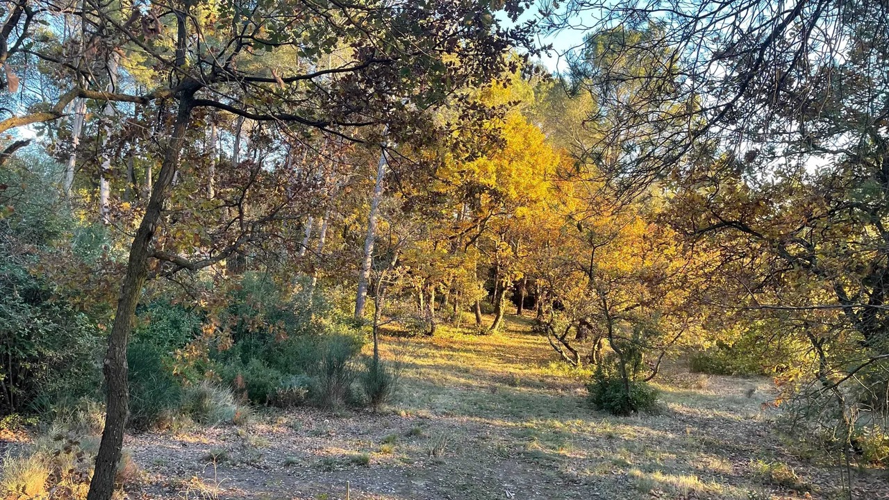 Photo of Outdoor in Velleron