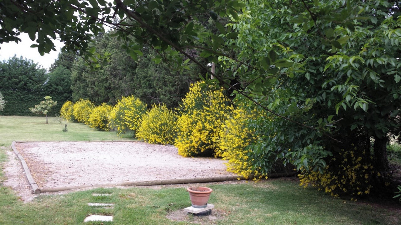 Photo of Outdoor in Monteux
