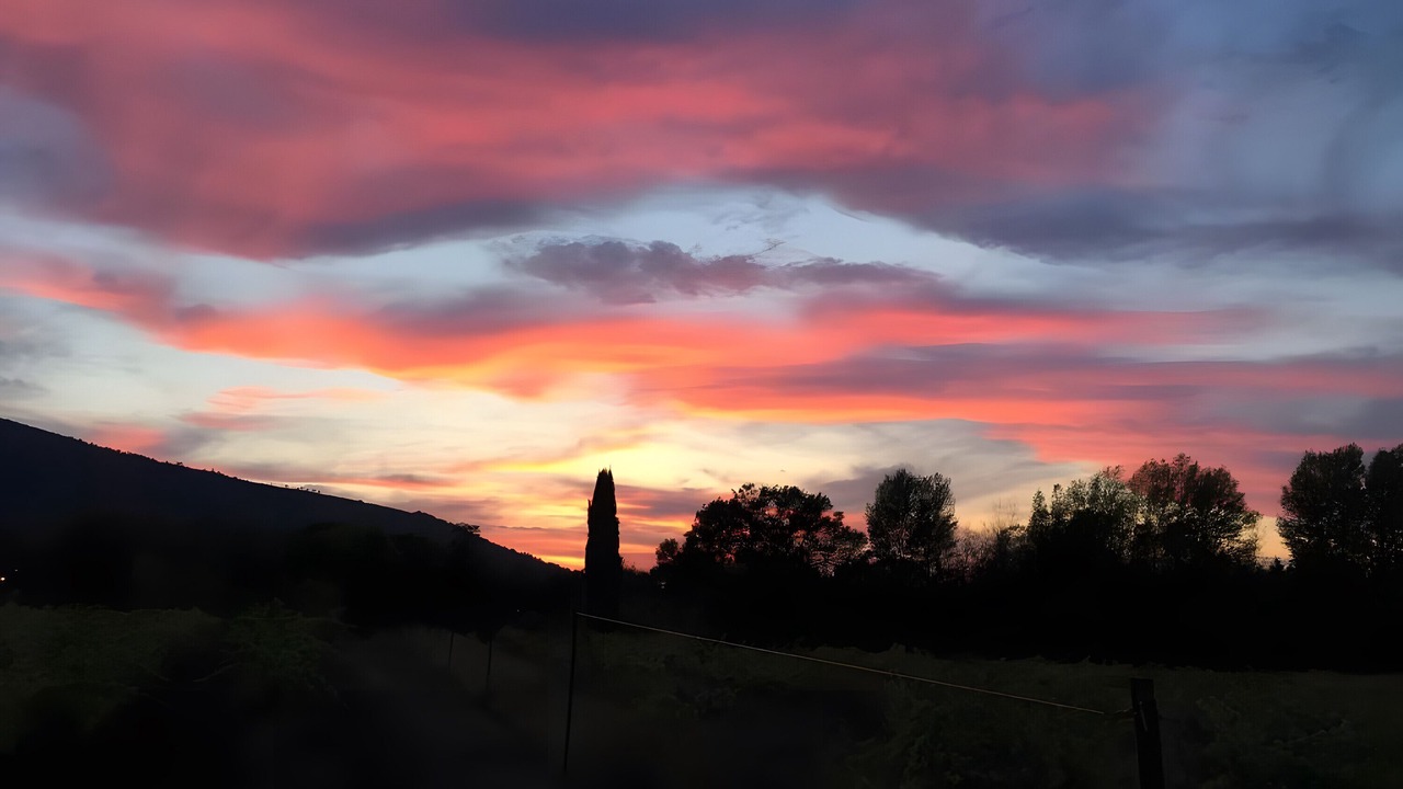 Photo of Others in Brignoles