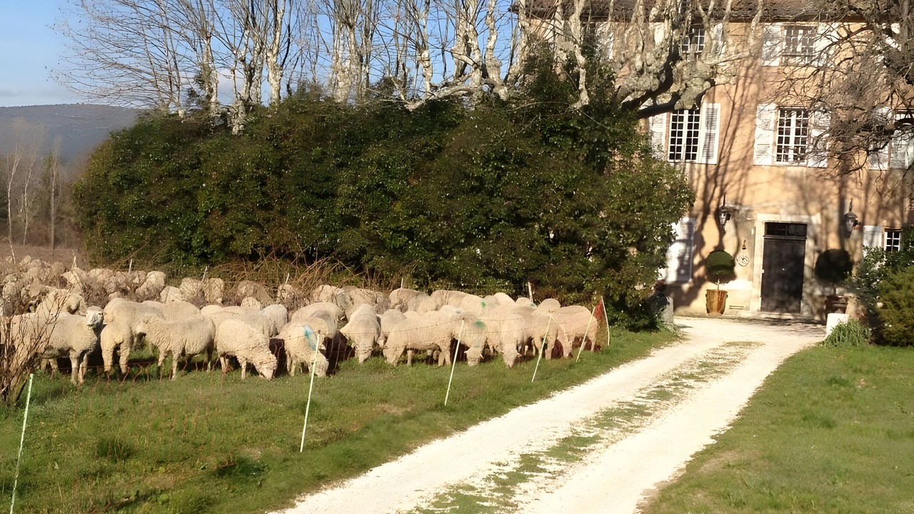 Photo of Others in Brignoles