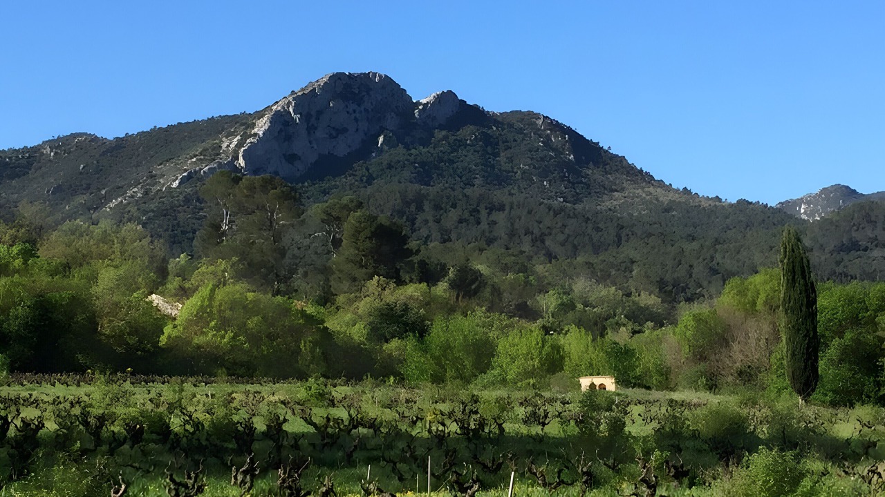 Photo of Others in Brignoles