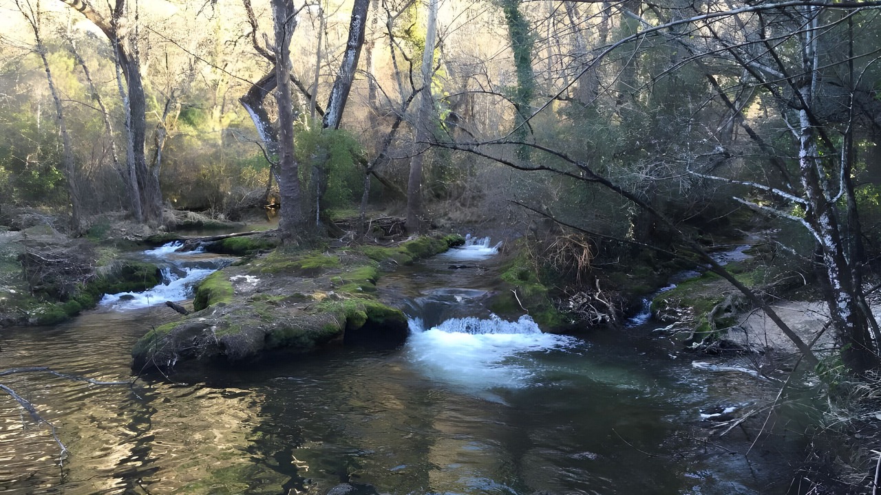 Photo of Others in Brignoles