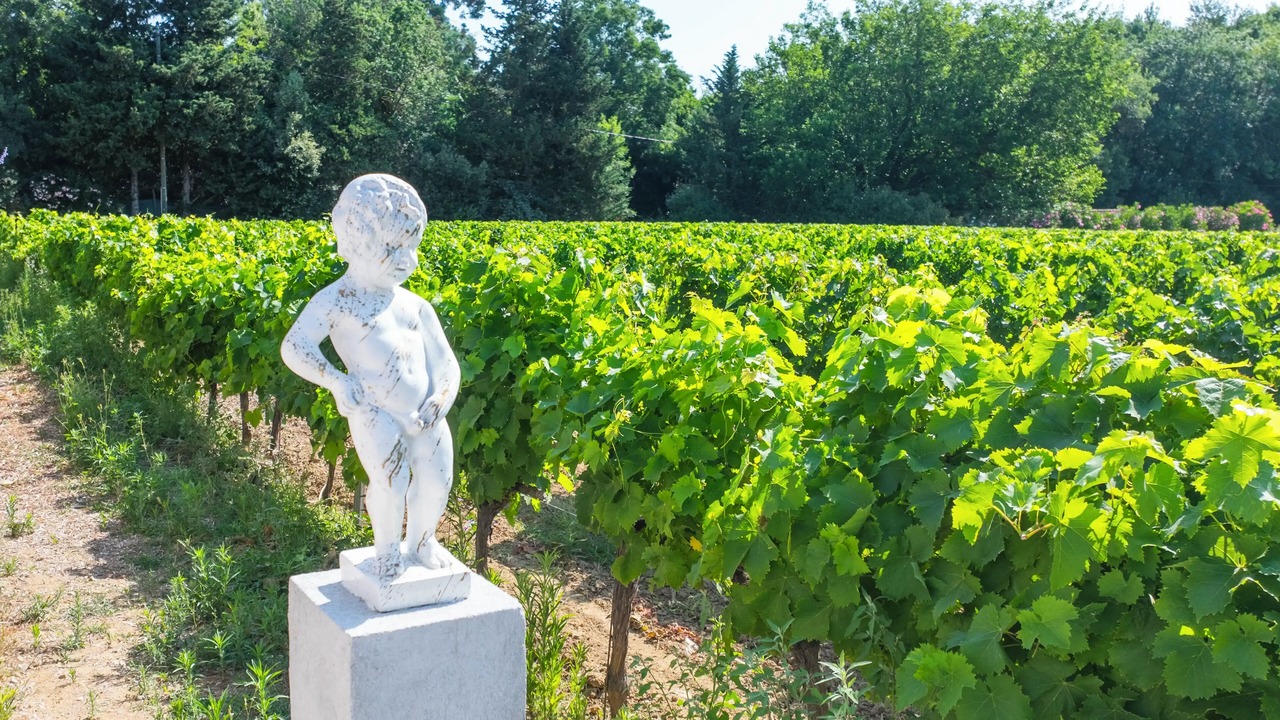 Photo of Outdoor in Cogolin