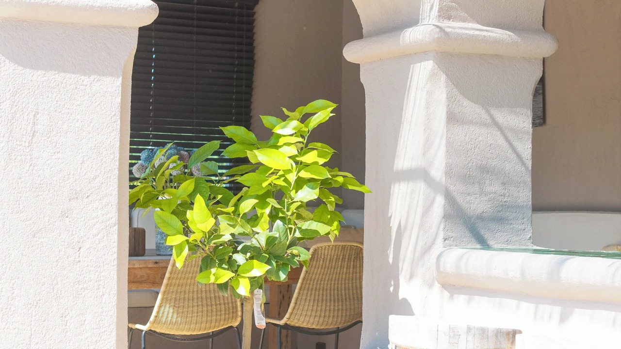 Photo of Outdoor in Cogolin