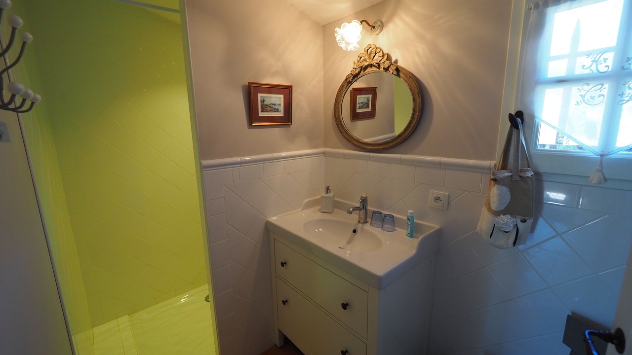 Photo of Bathroom in Saint-Martin-de-la-Brasque
