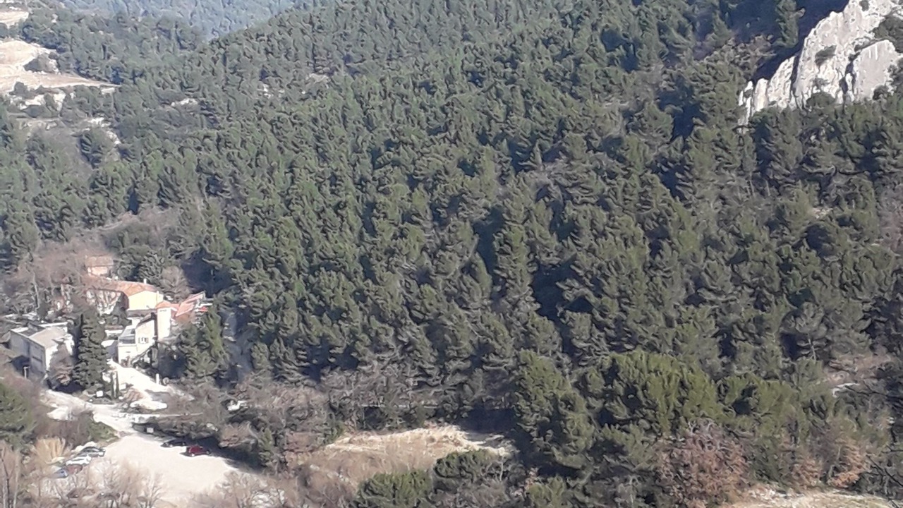 Photo of Outdoor in Malaucene