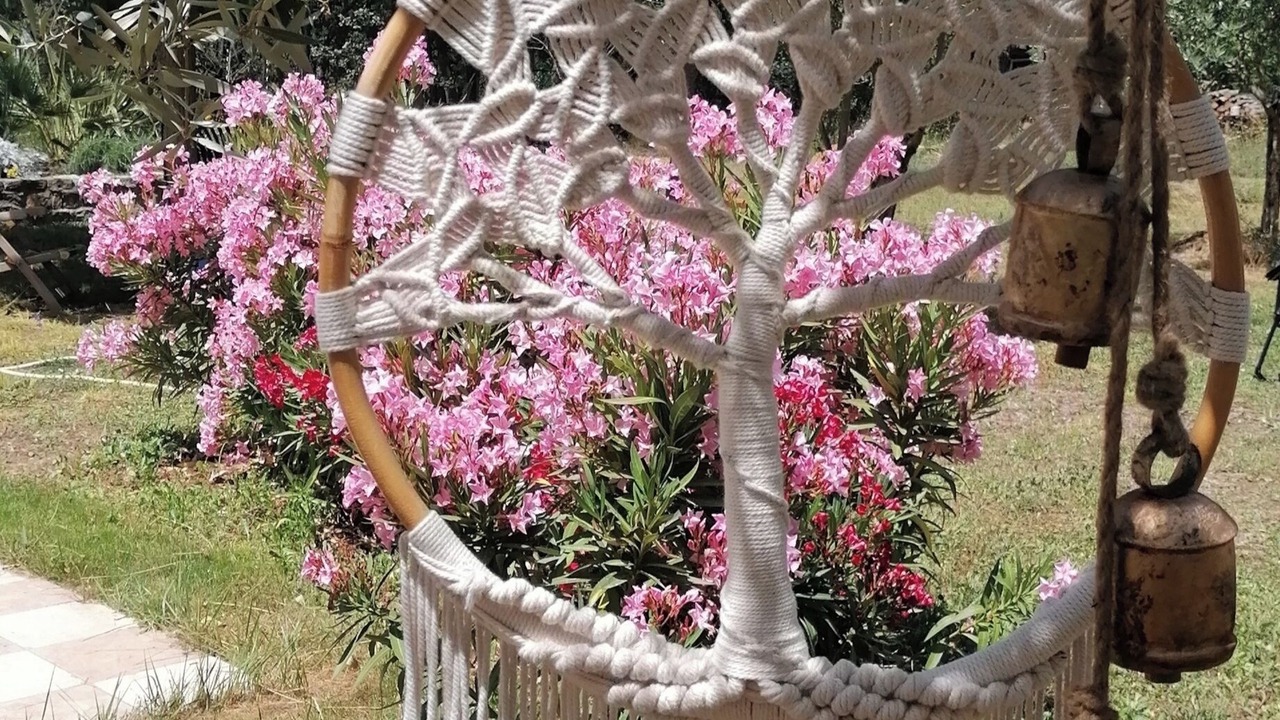 Photo of Outdoor in Saint-Antonin-du-Var