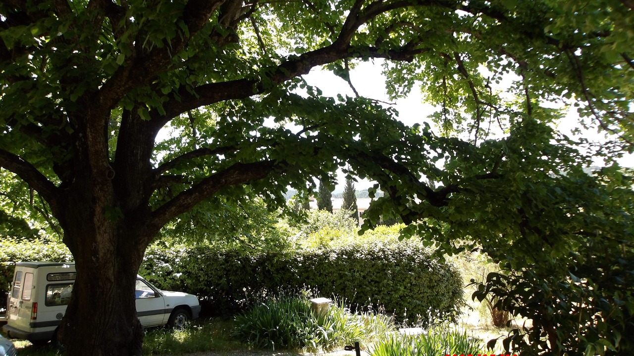 Photo of Outdoor in Seillans