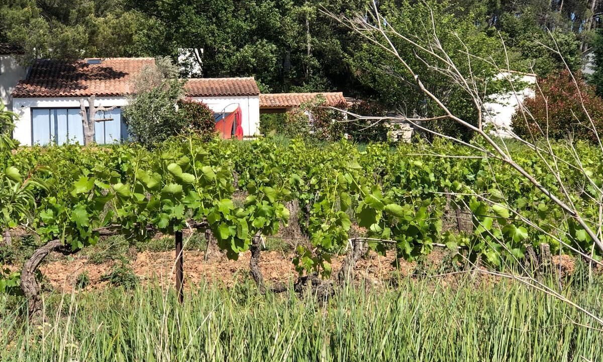 Photo of Outdoor in Rousset