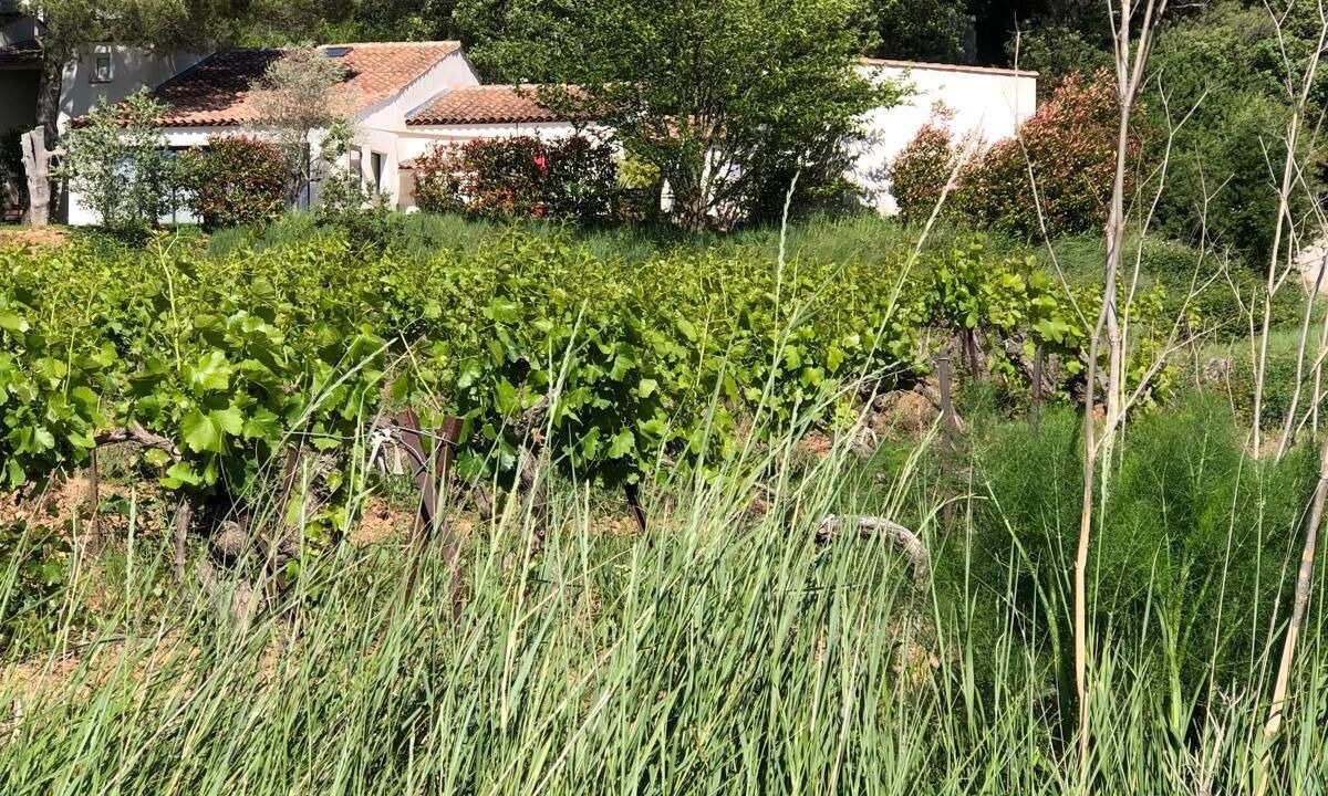 Photo of Outdoor in Rousset