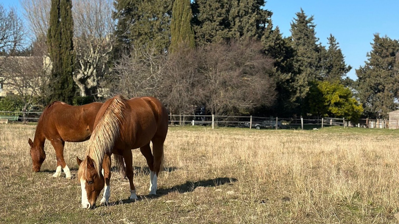 Photo of Others in Caderousse