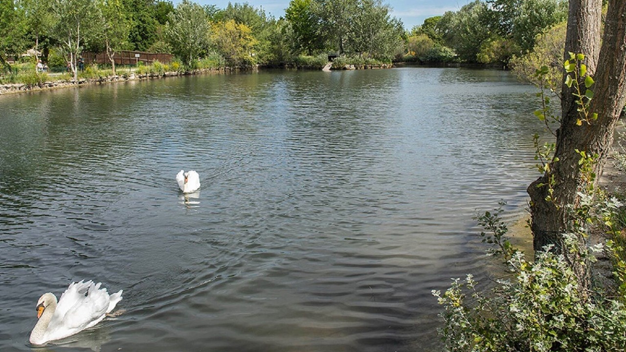 Photo of Others in Saint-Saturnin-les-Avignon
