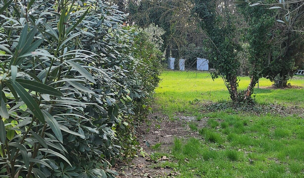 Photo of Outdoor in Le Thor