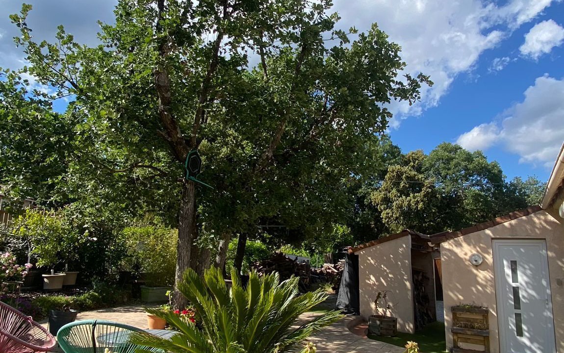 Photo of Outdoor in Gareoult