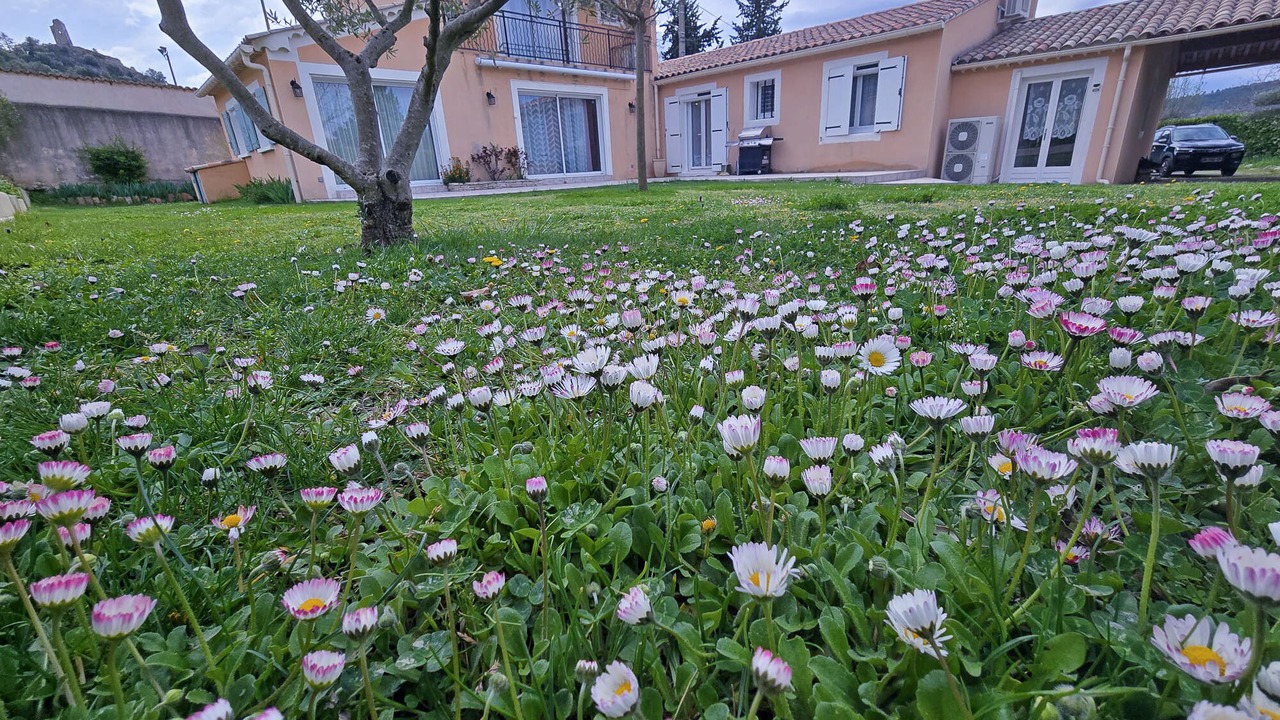 Photo of Outdoor in Volonne