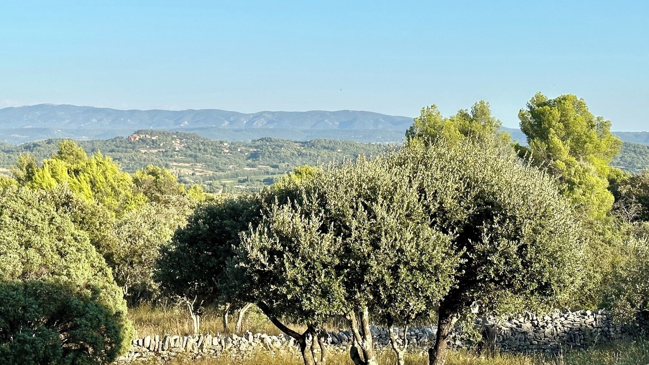 Photo of Others in Joucas