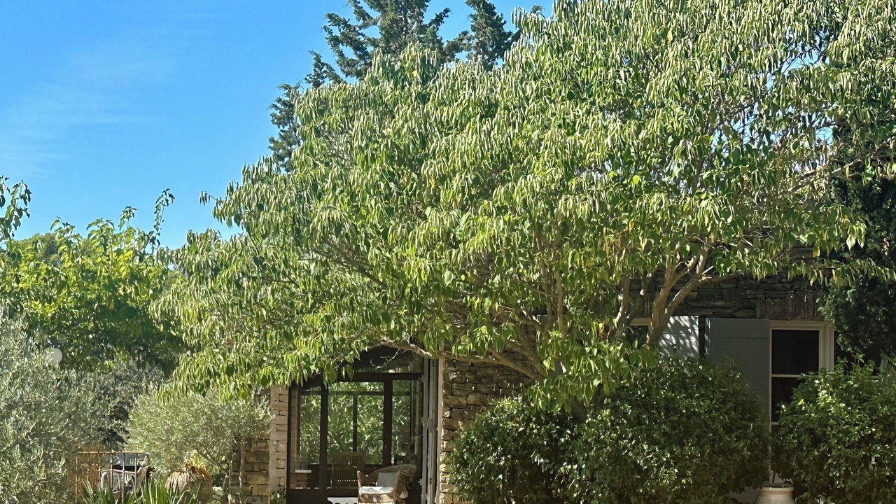 Photo of Outdoor in Joucas