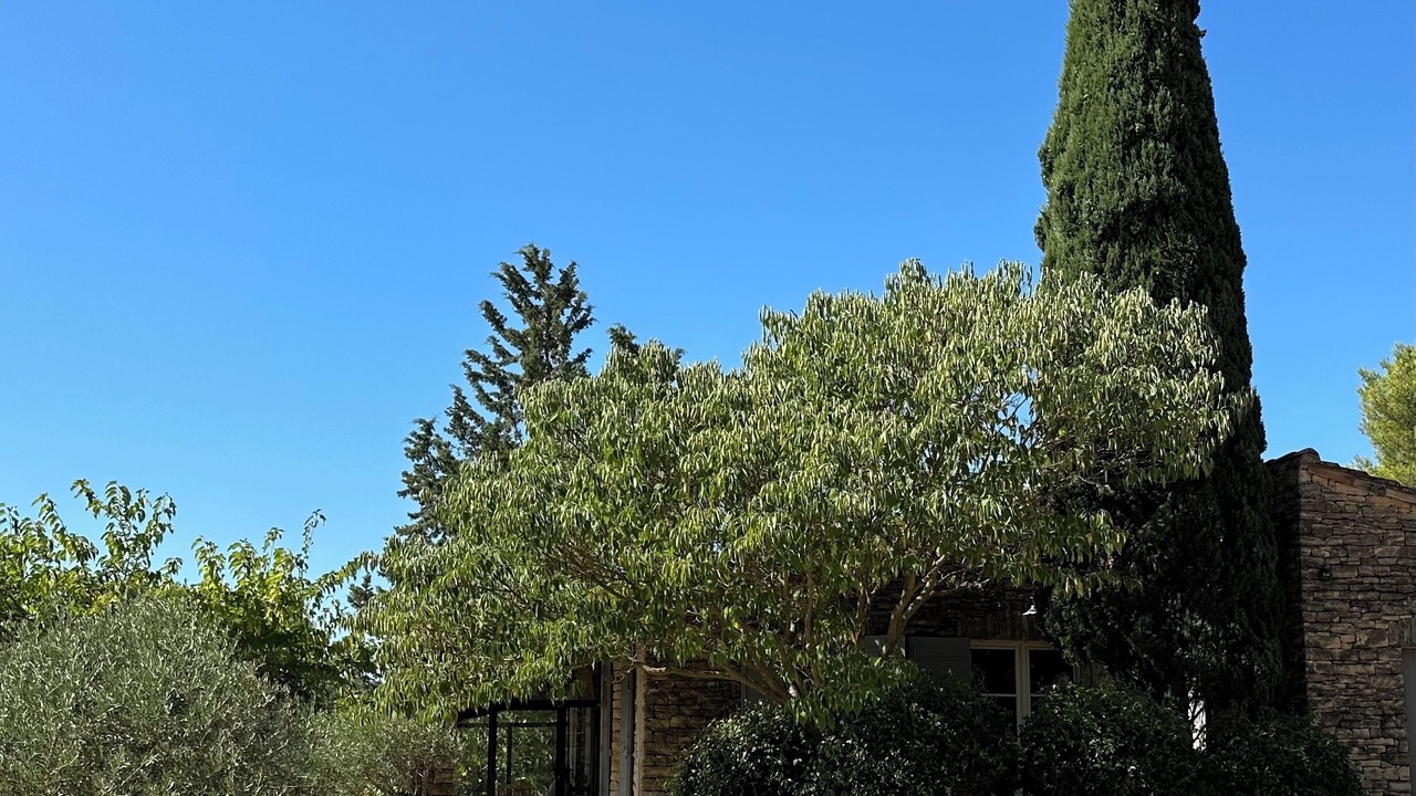 Photo of Outdoor in Joucas