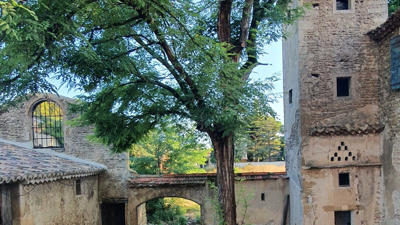 Photo of Outdoor in Bouchet