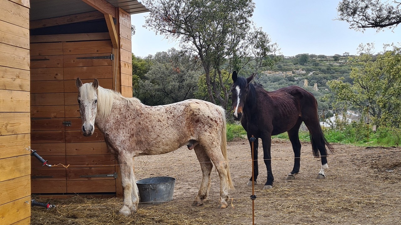 Photo of Others in Istres