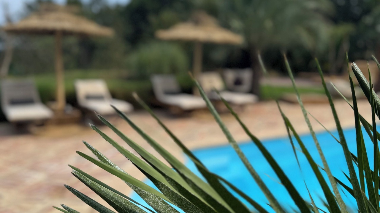 Photo of Outdoor in La Garde-Freinet