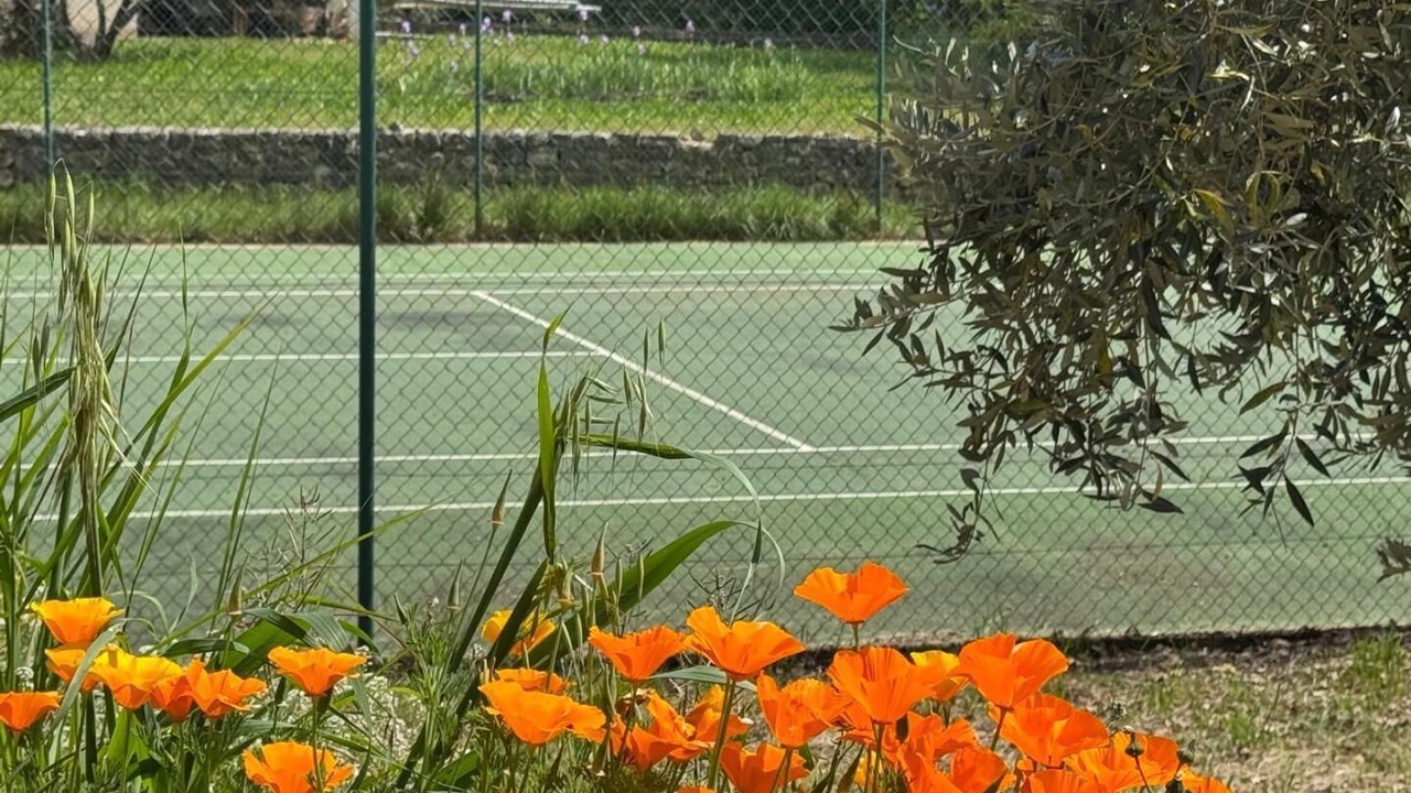 Photo of Others in Trans-en-Provence