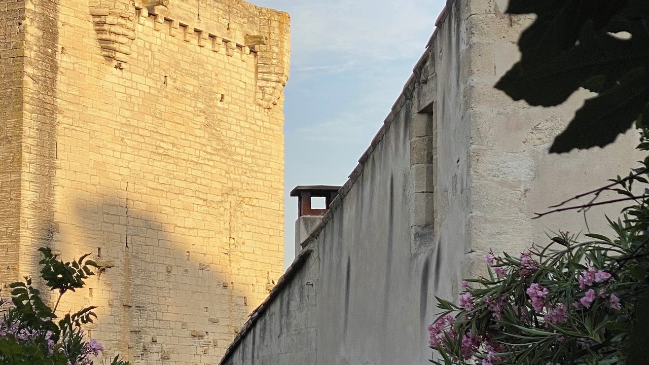 Photo of Others in Avignon
