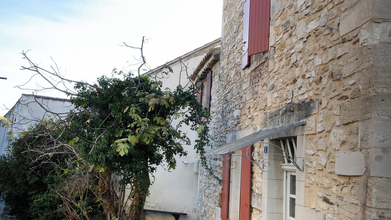 Photo of Outdoor in Avignon