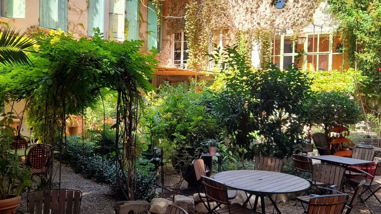 Photo of Outdoor in Avignon City Centre