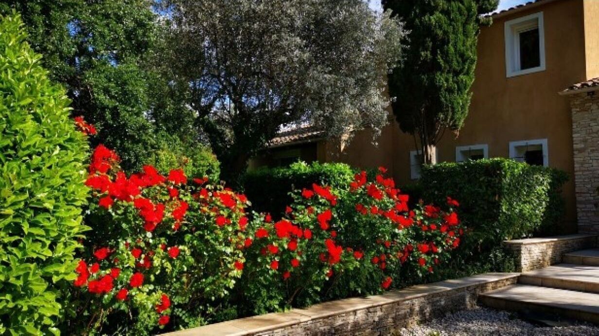 Photo of Outdoor in Grand Sud
