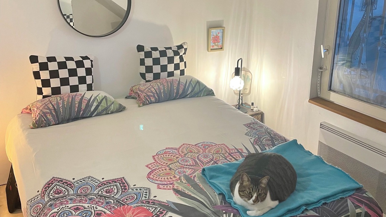 Photo of Bedroom in 11th Arrondissement