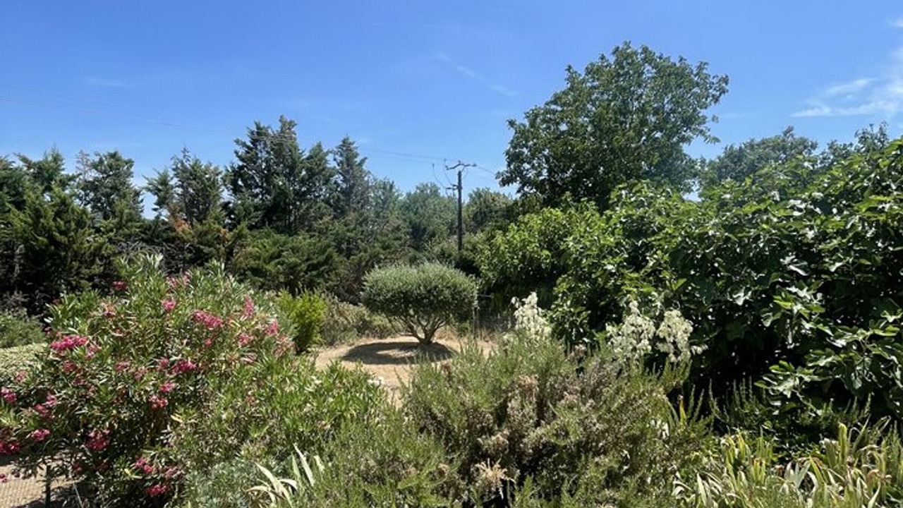 Photo of Outdoor in Quinson