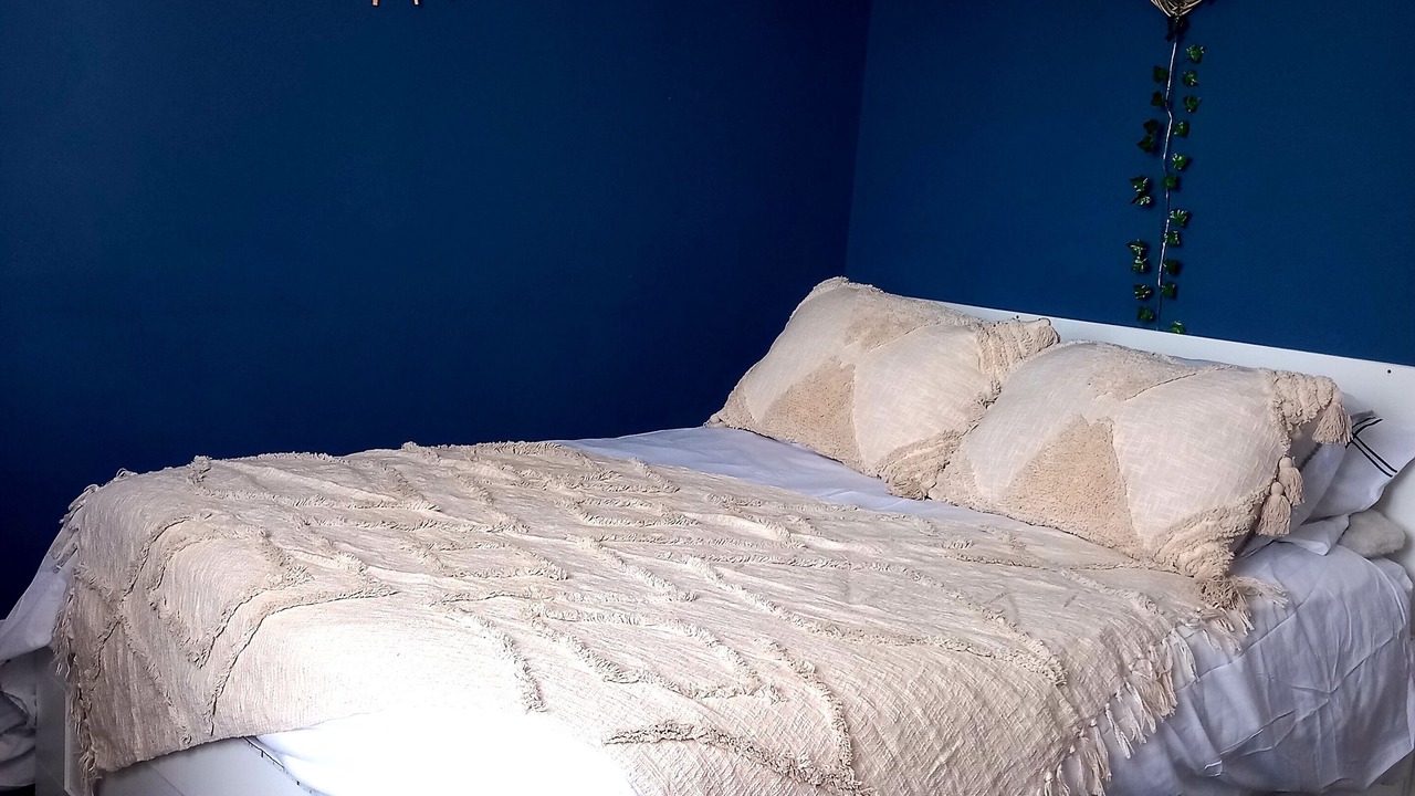 Photo of Bedroom in Velleron