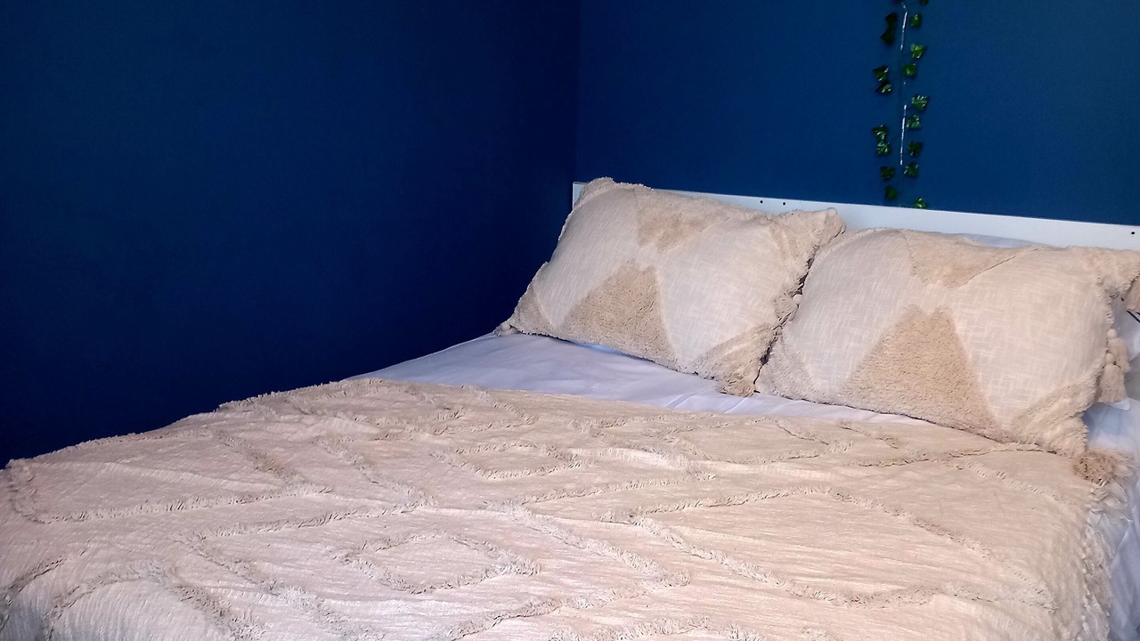 Photo of Bedroom in Velleron