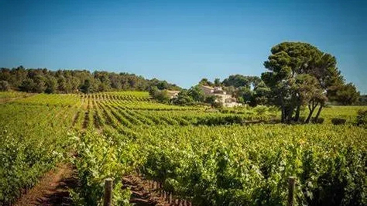 Photo of Others in Montagnac-Montpezat