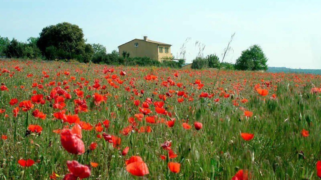 Photo of Others in Saint-Martin-de-Castillon