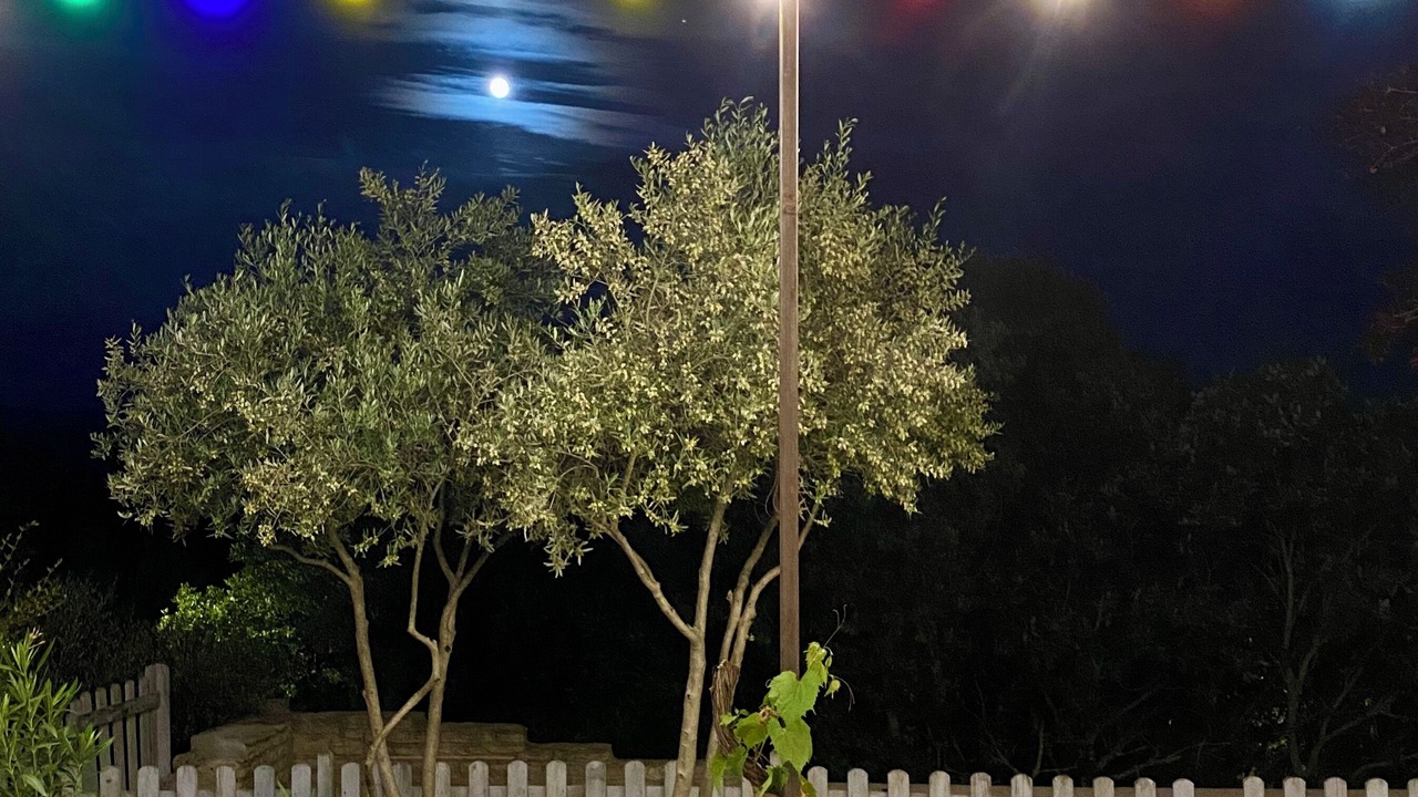 Photo of Patio Balcony in Joucas