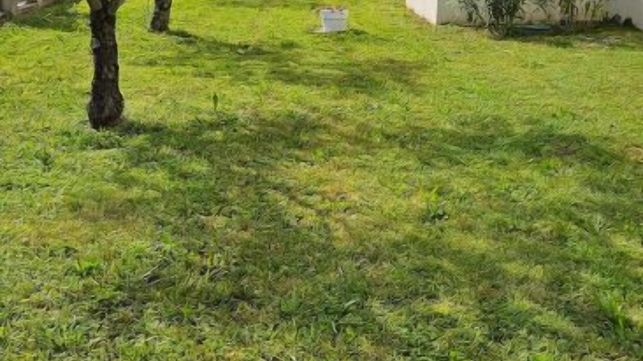 Photo of Outdoor in Mormoiron