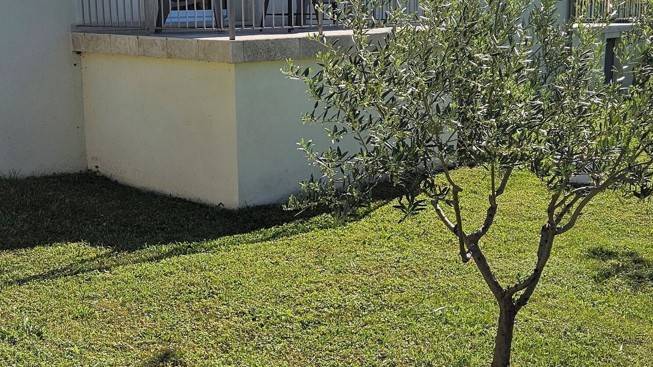 Photo of Patio Balcony in Mormoiron