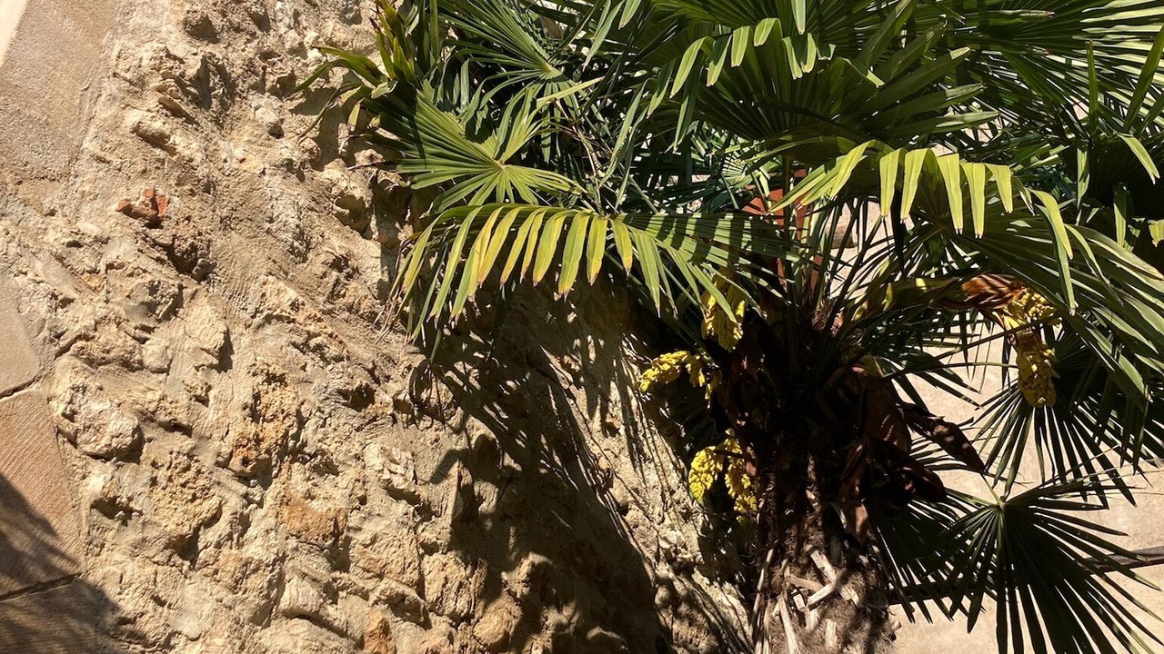 Photo of Outdoor in La Roque-d'Antheron