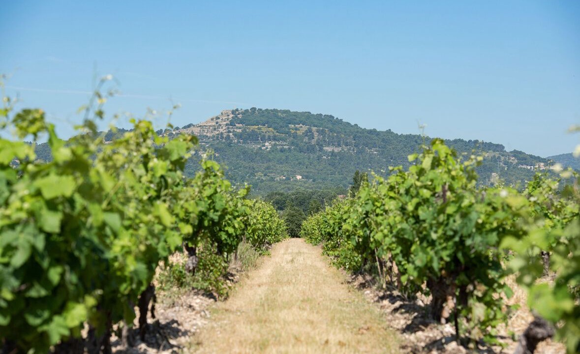 Photo of Others in Meyrargues