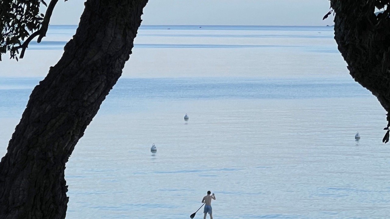 Photo of Others in Rayol-Canadel-sur-Mer