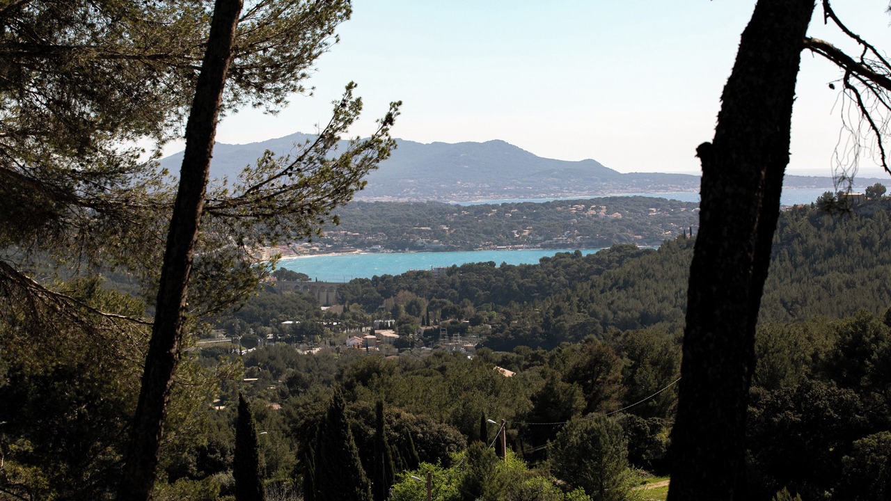 Photo of Others in Bandol