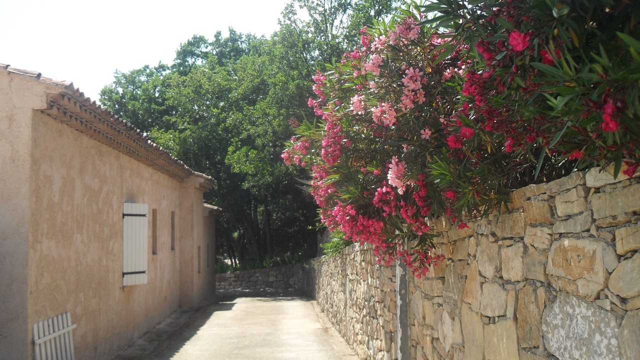 Photo of Outdoor in Cabasse