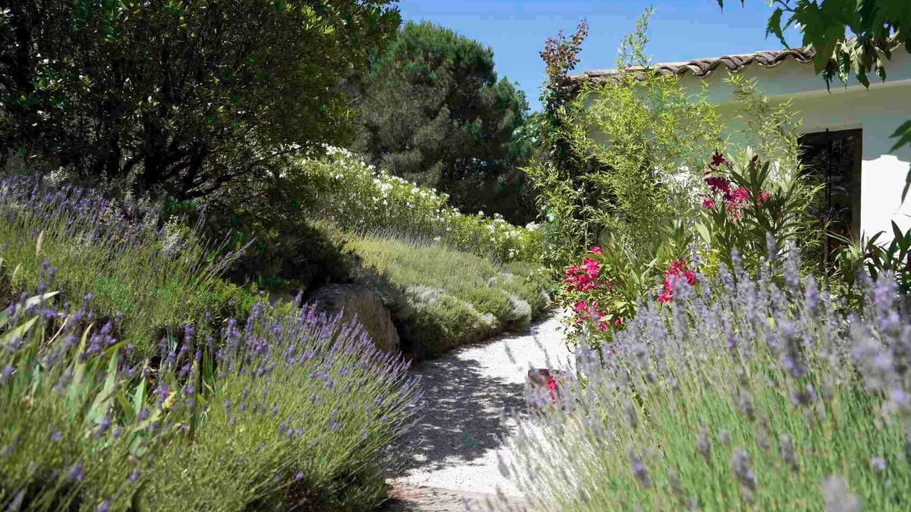 Photo of Outdoor in La Garde-Freinet