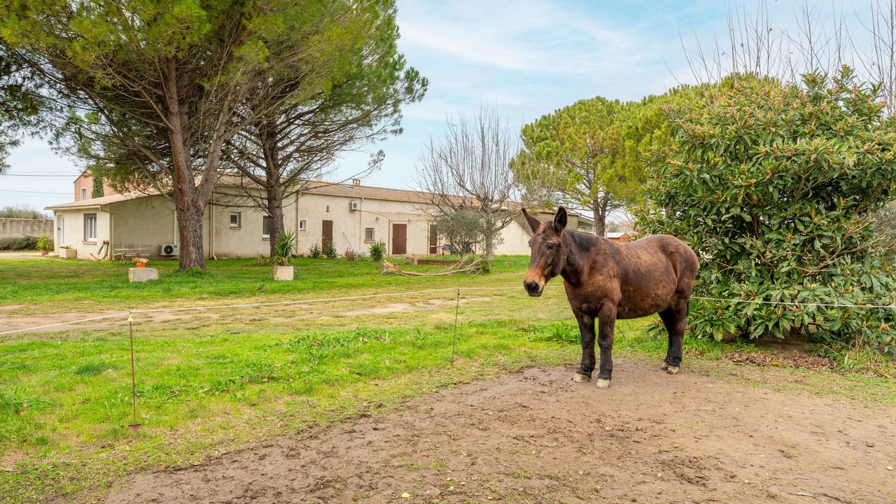 Photo of Outdoor in Beaucaire