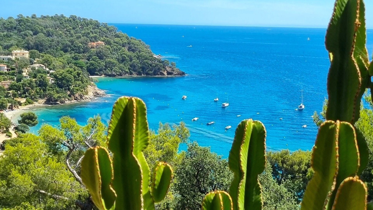 Photo of Others in Rayol-Canadel-sur-Mer