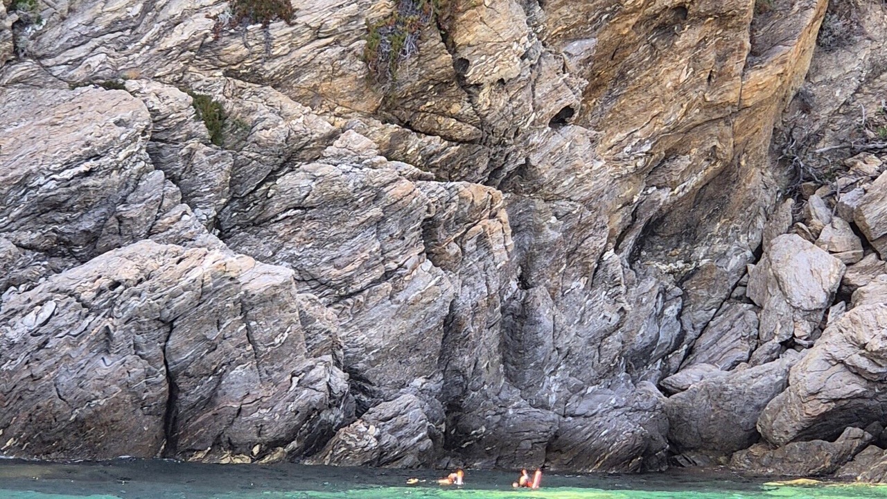 Photo of Others in Rayol-Canadel-sur-Mer