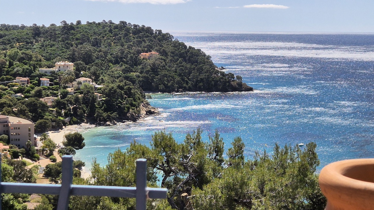 Photo of Others in Rayol-Canadel-sur-Mer